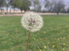 -汉长安城未央宫国家考古遗址公园