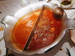 -九鼎轩脆毛肚火锅(五角场店)