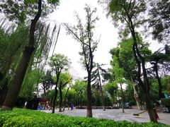 -莲湖公园