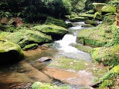 -碧峰峡风景区