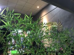 -鱼乐坊炭火烤鱼(开平祥苑店)