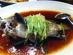 清蒸杉斑-陶陶居海鲜酒家(新马路店)