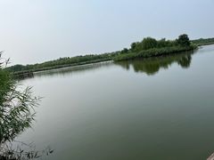 -西青郊野公园
