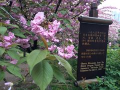 -西安青龙寺遗址景区