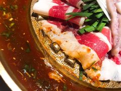 -小牛哈尼章鱼水煎肉(金鹰店)