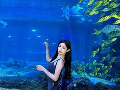 -华夏文旅海洋公园