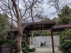 -白马涧龙池景区