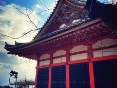 -有栖山 清光院 清水寺