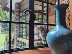 -马勒别墅·中餐厅