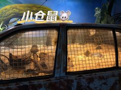 -顺德南宏海立方海洋公园