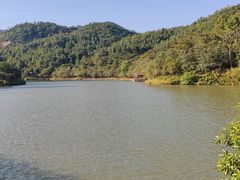 -广州白江湖森林公园