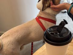 -Fulu Coffee福禄(花园城店)
