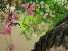 -深圳国际园林花卉博览园