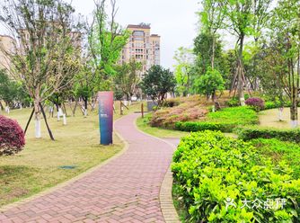 雨后早上的公园也别有一番风味，游客还不太多