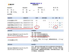 -贝利宠物医院·骨科·眼科·肿瘤转诊中心(南坪诊疗中心)