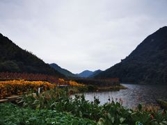 -广州市石门国家森林公园