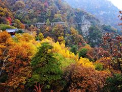 -少华山国家森林公园
