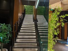 -新紫霞养生·影院足道·SPA(金山区店)