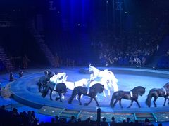 -珠海横琴长隆《卡卡虎奇遇记》