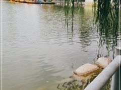 -莲湖公园