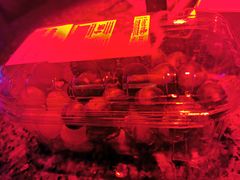 -INLOVE KTV(印象汇店)