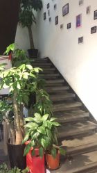 -魔型社