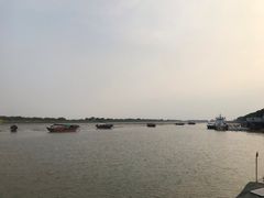 -大湾区中央湿地公园-十九涌