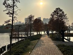 -厦门园林博览苑