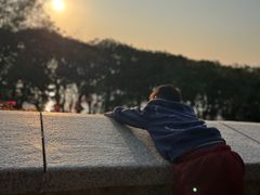 -宝安西湾红树林湿地公园