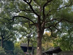 -惠山古镇·寄畅园