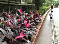 -铁路文化公园