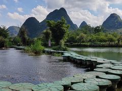-靖西鹅泉风景区