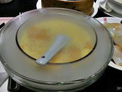 杨枝金露豆腐花-糖朝(尖沙咀店)