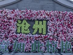 -0317火锅鸡·清真(正达店)