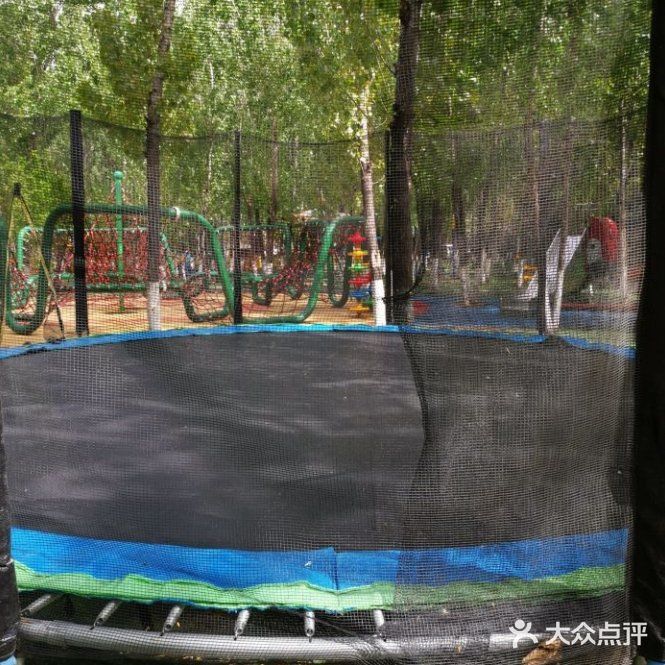 让我们一去看可爱的小动物
