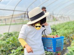 -小鱼草莓采摘园农家乐·小鱼餐厅