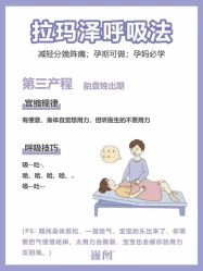 -巍阁高端月子会所