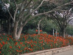 -深圳湾公园(南山区)