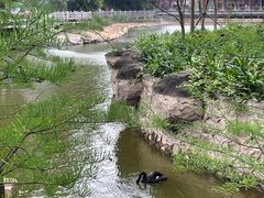 -广州市帽峰山景区