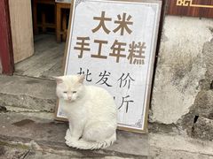 -鸣鹤古镇