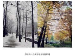 -白水寺森林公园