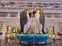 -帝企鹅自助餐厅•儿童岛•真企鹅(长隆企鹅酒店)