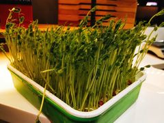 -番食园鲜食火锅(高新店)