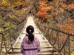 -龙道沟景区