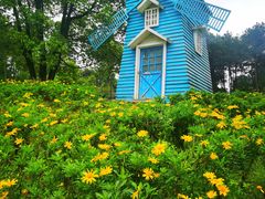 -铁山坪森林公园