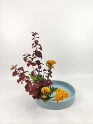 -今日陶艺(富力广场店)