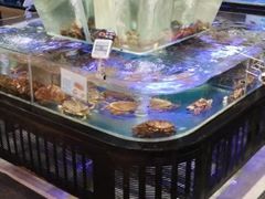 水产区-盒马鲜生(悠方店)