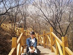 -大岭沟猕猴桃谷风景区