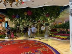 -拉斯维加斯永利酒店