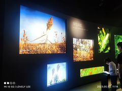 -溱湖国家湿地公园